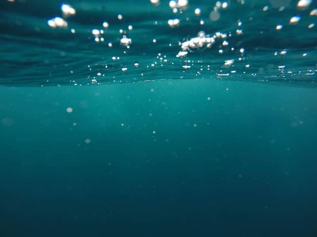 underwater photo