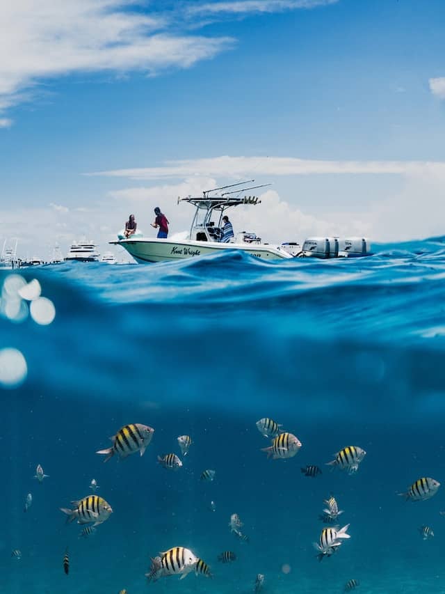 snorkling